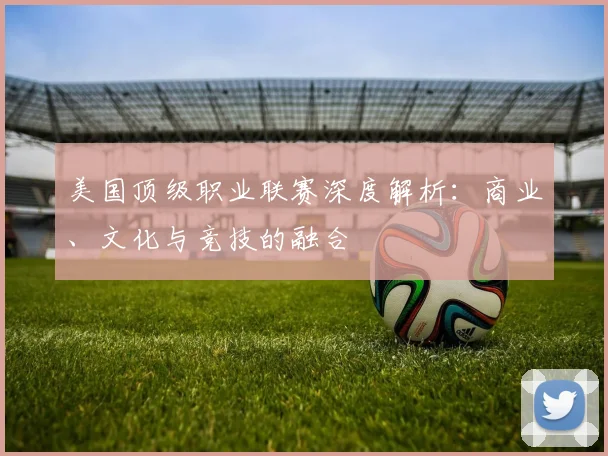 美国顶级职业联赛深度解析：商业、文化与竞技的融合
